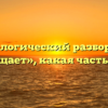 Морфологический разбор слова «очищает», какая часть речи