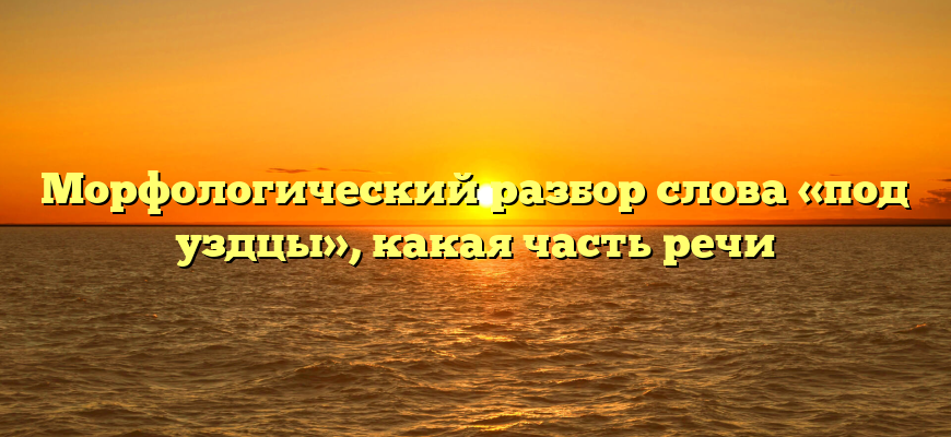 Морфологический разбор слова «под уздцы», какая часть речи