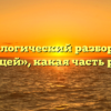 Морфологический разбор слова «пущей», какая часть речи
