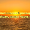 Морфологический разбор слова «убийца», какая часть речи
