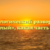 Морфологический разбор слова «умелый», какая часть речи