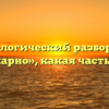 Морфологический разбор слова «шикарно», какая часть речи