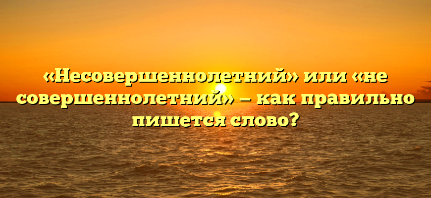 «Несовершеннолетний» или «не совершеннолетний» — как правильно пишется слово?