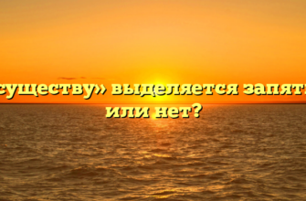 «По существу» выделяется запятыми или нет?