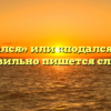 «Поддался» или «подался» — как правильно пишется слово?