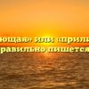 «Прилегающая» или «прилигающая» — как правильно пишется слово?