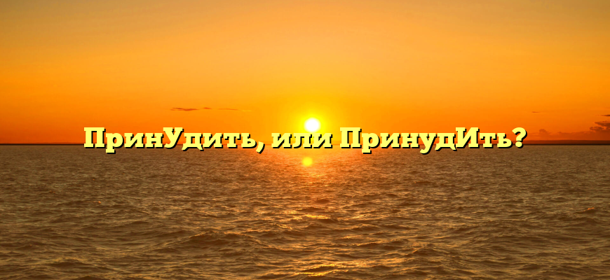 ПринУдить, или ПринудИть?