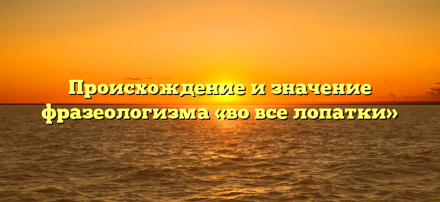 Происхождение и значение фразеологизма «во все лопатки»