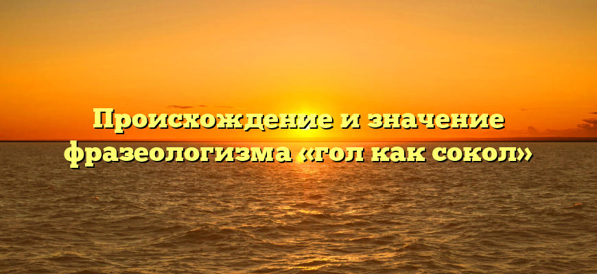 Происхождение и значение фразеологизма «гол как сокол»