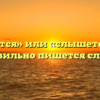 «Слышится» или «слышется» — как правильно пишется слово?