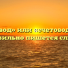 «Считовод» или «счетовод» — как правильно пишется слово?