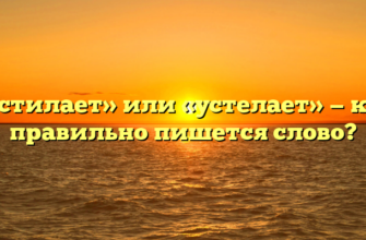 «Устилает» или «устелает» — как правильно пишется слово?