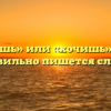 «Хочешь» или «хочишь» — как правильно пишется слово?