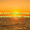 Что такое бокс? Происхождение и значение слова «бокс»