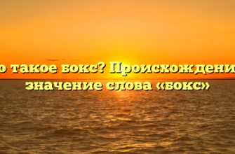 Что такое бокс? Происхождение и значение слова «бокс»