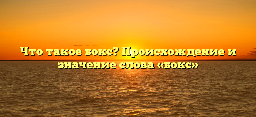 Что такое бокс? Происхождение и значение слова «бокс»