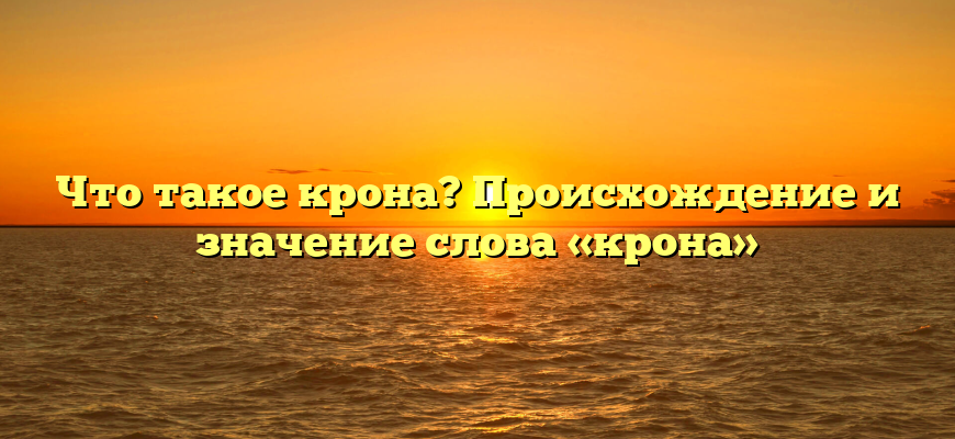 Что такое крона? Происхождение и значение слова «крона»
