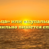 «Щупальца» или «щупальцы» — как правильно пишется слово?