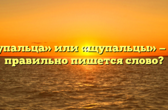 «Щупальца» или «щупальцы» — как правильно пишется слово?