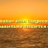 «Адресовано» или «адресованно» — как правильно пишется слово?