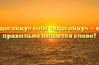 «В догонку» или «вдогонку» — как правильно пишется слово?