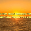 «В неволе» или «вневоле» — как правильно пишется слово?
