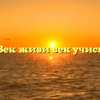 «Век живи век учись»