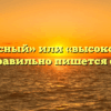 «Високосный» или «высокосный» — как правильно пишется слово?