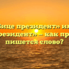 «Вице президент» или «вице-президент» — как правильно пишется слово?