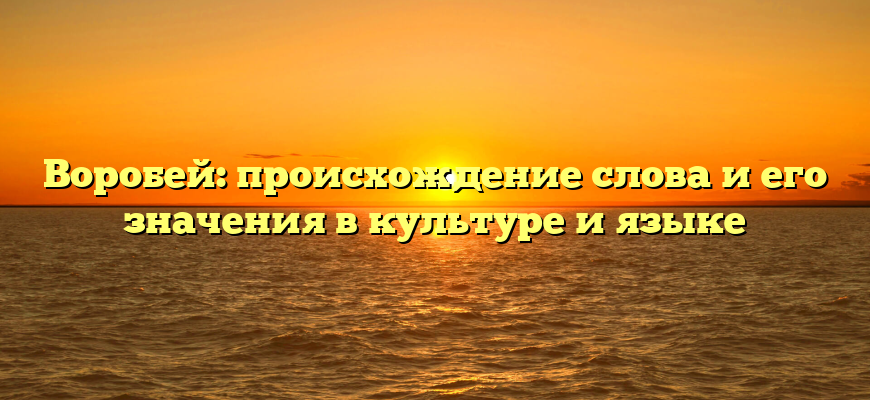 Воробей: происхождение слова и его значения в культуре и языке