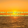 «Дружишь» или «дружешь» — как правильно пишется слово?