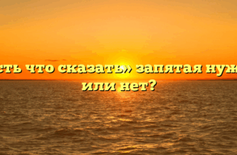 «Есть что сказать» запятая нужна или нет?