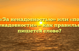 «За ненадобностью» или «по ненадобности» — как правильно пишется слово?