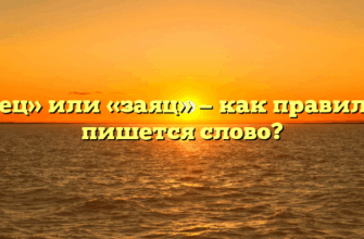 «Заец» или «заяц» — как правильно пишется слово?