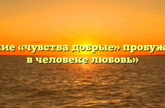 «Какие «чувства добрые» пробуждает в человеке любовь»