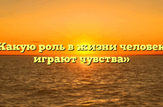 «Какую роль в жизни человека играют чувства»
