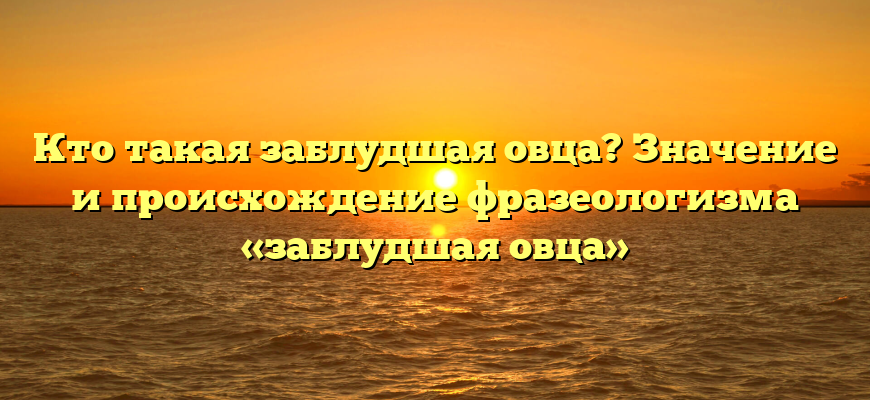 Кто такая заблудшая овца? Значение и происхождение фразеологизма «заблудшая овца»