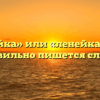«Линейка» или «ленейка» — как правильно пишется слово?