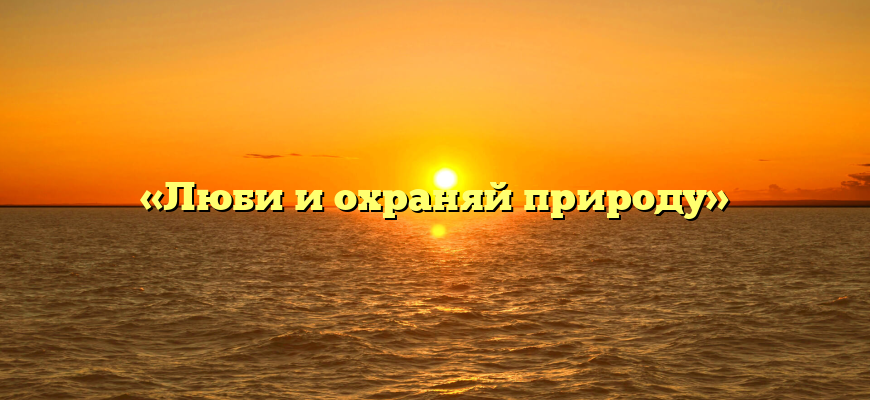 «Люби и охраняй природу»