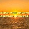 «Макулатура» или «мукулатура» — как правильно пишется слово?