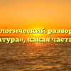 Морфологический разбор слова «арматура», какая часть речи