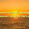 Морфологический разбор слова «армянин», какая часть речи