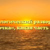 Морфологический разбор слова «бабочка», какая часть речи