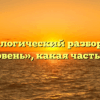 Морфологический разбор слова «баловень», какая часть речи