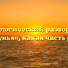 Морфологический разбор слова «бегунья», какая часть речи