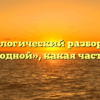 Морфологический разбор слова «бесплодной», какая часть речи