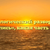 Морфологический разбор слова «боялись», какая часть речи