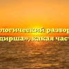 Морфологический разбор слова «бригадирша», какая часть речи