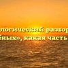 Морфологический разбор слова «варёных», какая часть речи
