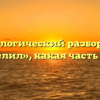 Морфологический разбор слова «веселил», какая часть речи